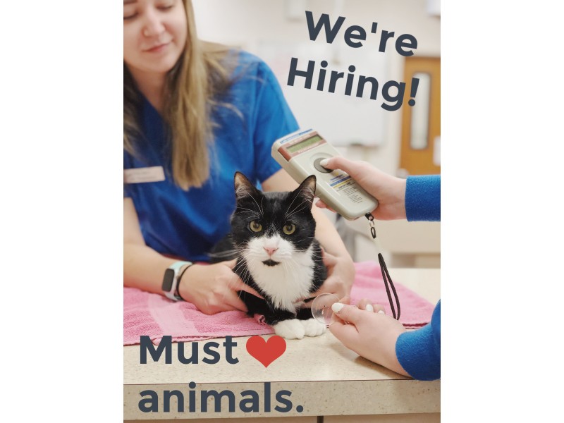Careers with AWL – Animal Welfare League of Trumbull County, Inc.