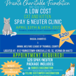Blue Modern Vet Clinic Promotion Flyer Final